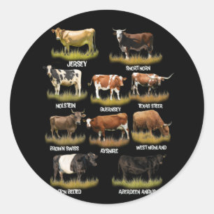 Cow Breeds Retro Farmer Beef and Dairy Graphic Classic Round Sticker