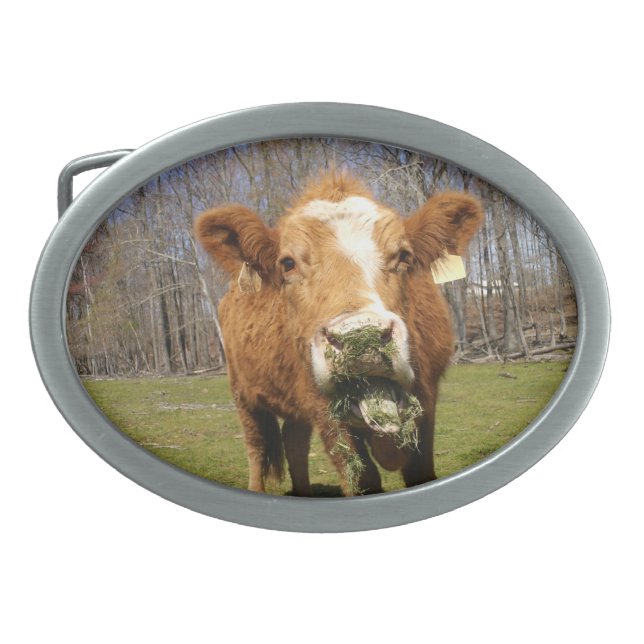 Cow Buckle Oval Belt Buckle (Front)