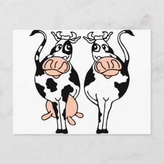 cow-bull-2.png postcard