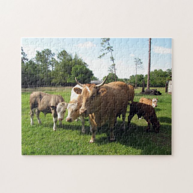 Cow Bull, and Calves Farm Puzzle (Horizontal)
