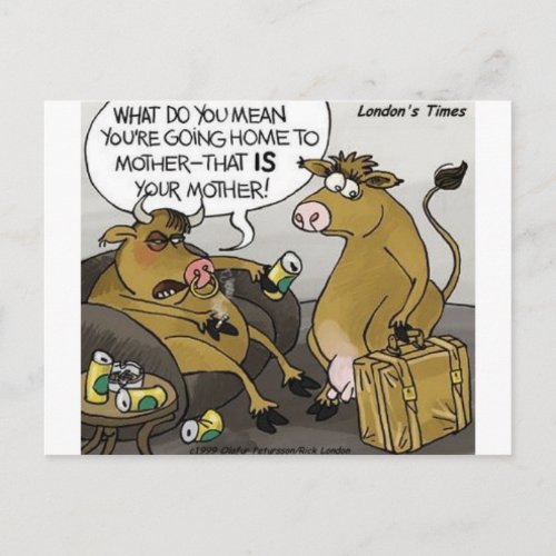 Cow Bull Divorce Funny Cartoon Gifts  Tees Postcard