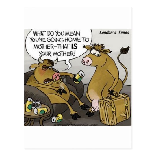 Cow Bull Divorce Funny Cartoon Gifts & Tees Postcard | Zazzle.com