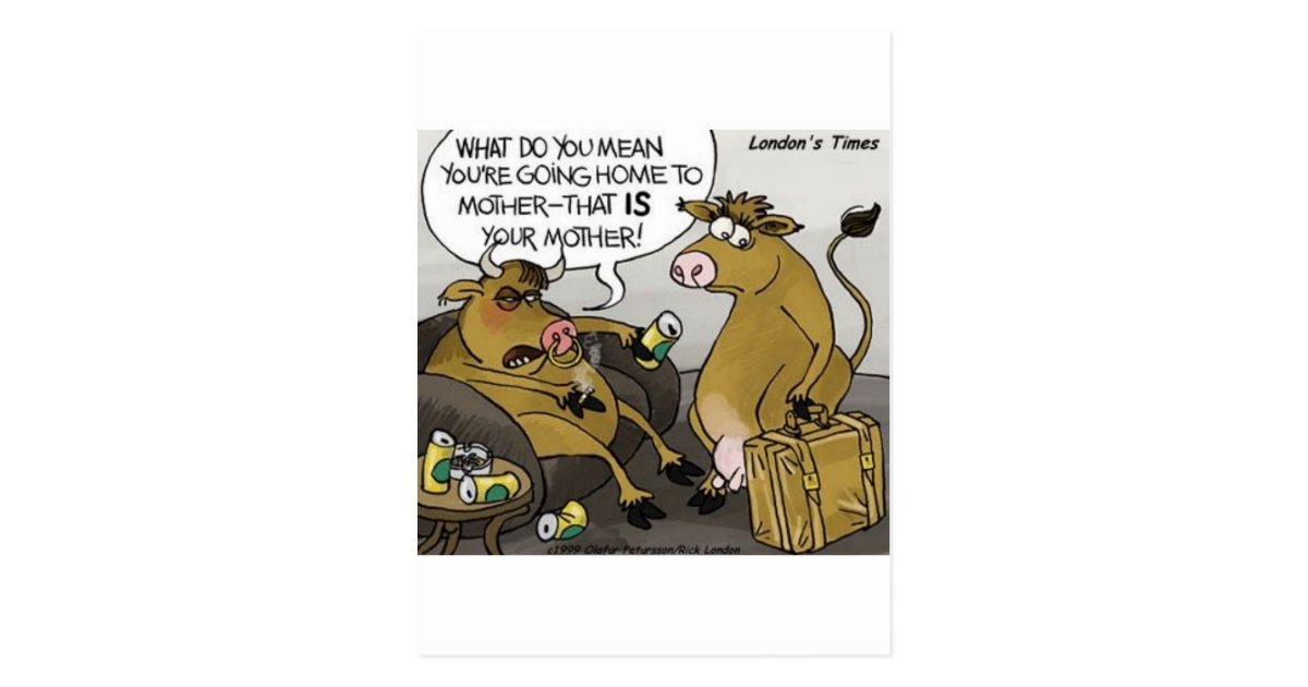 Cow Bull Divorce Funny Cartoon Gifts Tees Postcard Zazzle Com