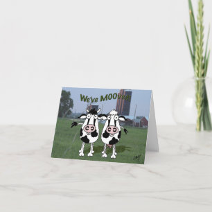 cow bull moved new address announcement. announcement