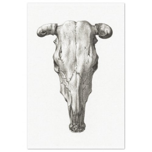 Cow Bull Skull Decoupage Vintage Farm Ranch Tissue Paper