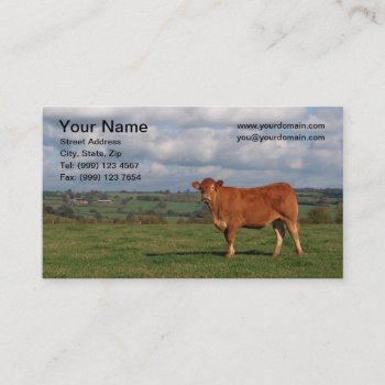 Cow Business Card by sponner at Zazzle