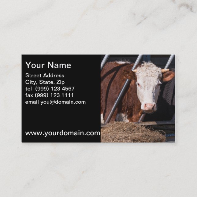 cow business card (Front)