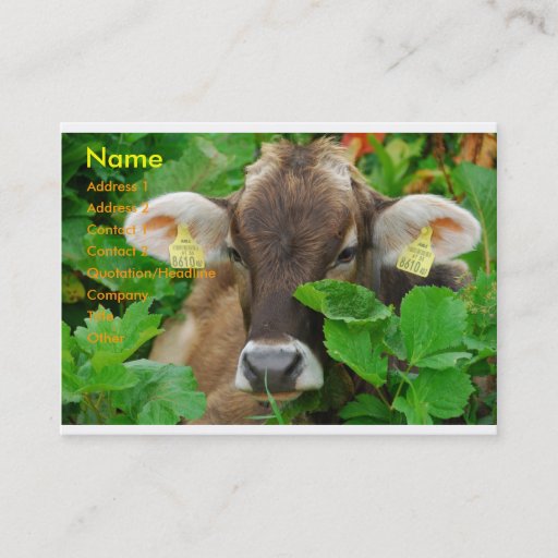 Customizable Cow Business Card