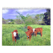 Cow Calendar
