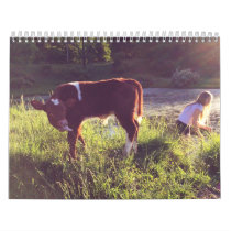 Cow Calendar