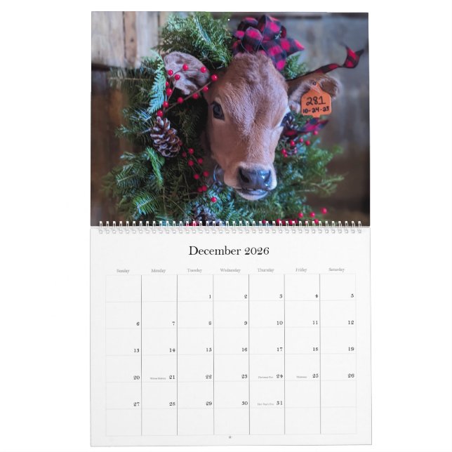 Cow & Calf Calendar from Chase's Organic Dairy (Dec 2026)