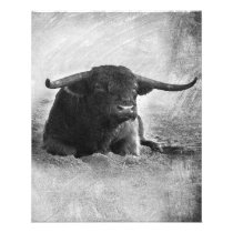 Cow canvas gift for Cow lover | Beauty Cow Flyer