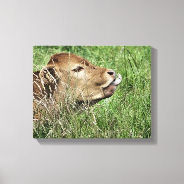COW CANVAS PRINT (Front)
