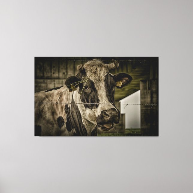 cow canvas print (Front)