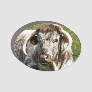 COW CAR MAGNET