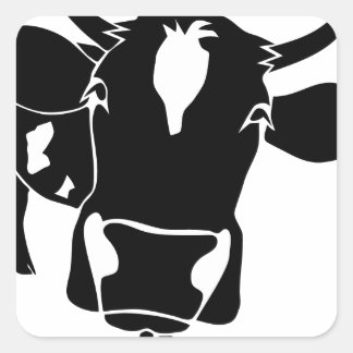 cow cattle kuh fleckvieh milk cowboy farmer square sticker
