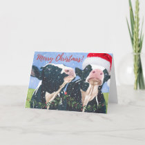 Cow Christmas cards
