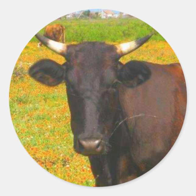 Cow Classic Round Sticker (Front)