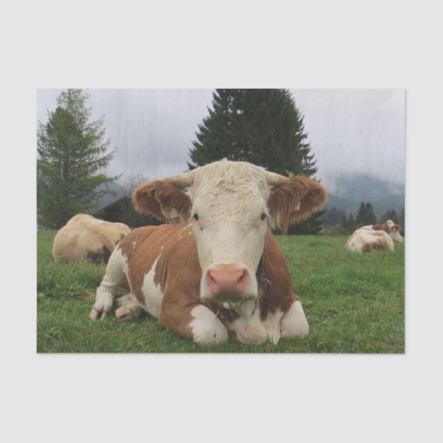 Cow Close-Up, Part 5:  Now, This is the Life!! Tissue Paper (Front)