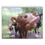 Cow Close-Ups 2024 Calendar