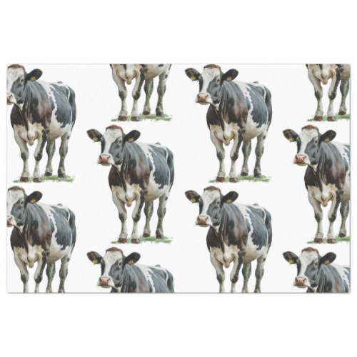 Cow Country Black and White Tissue Paper