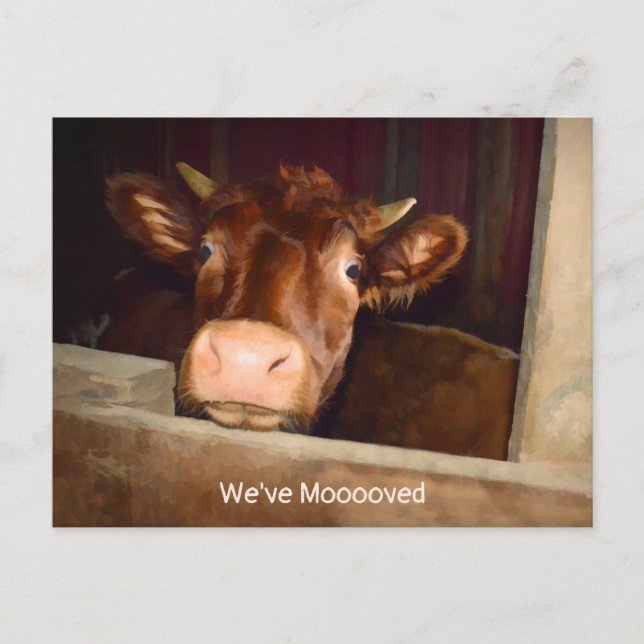 Cow Country Rustic Barn Funny Farm Moving Card (Front)