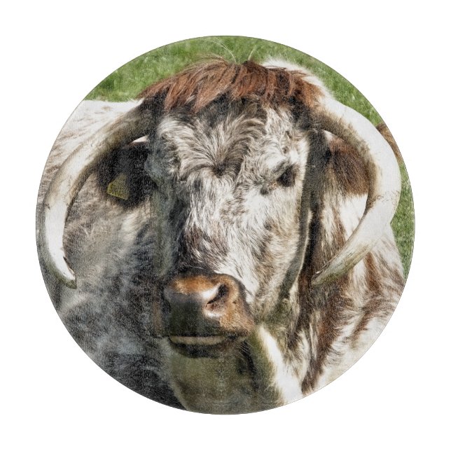 COW CUTTING BOARD (Front)