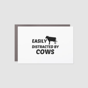 COW DISTRACTED CAR MAGNET