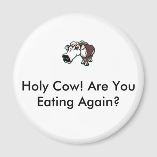 Cow Eating 1, Holy Cow! Are You Eating Again? Magnet | Zazzle.com