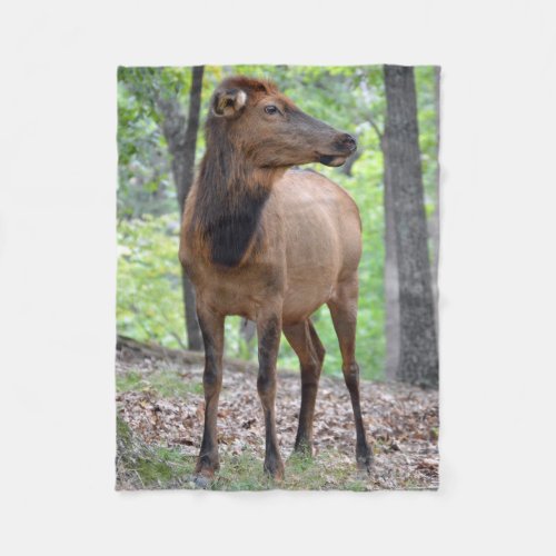 Cow Elk Fleece Blanket