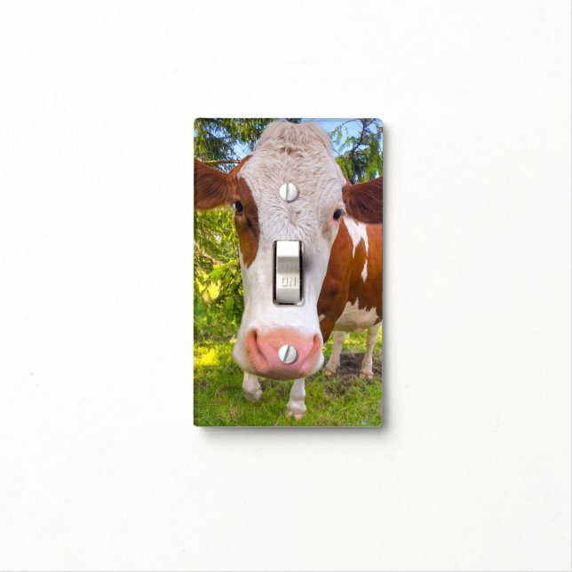 Cow Farm Animal Photo Light Switch Cover (In Situ)