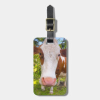 Cow Farm Animal Photo Personalized Name