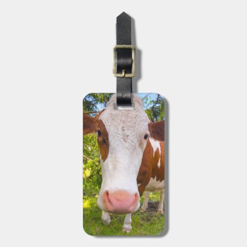 Cow Farm Animal Photo Personalized Name Luggage Tag