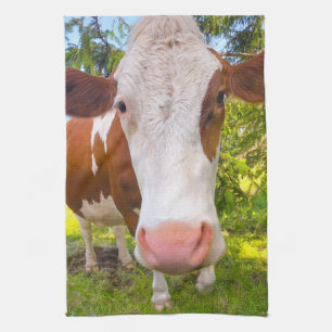 Cow Farm Animal Portrait Photo Kitchen Towel
