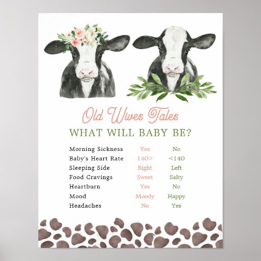 Cow Farm Gender Reveal Old Wives Tales Poster Zazzle