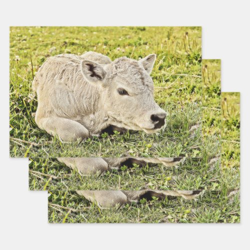 Cow Farm Rustic Country Decoupage Design Wrapping Paper Sheets
