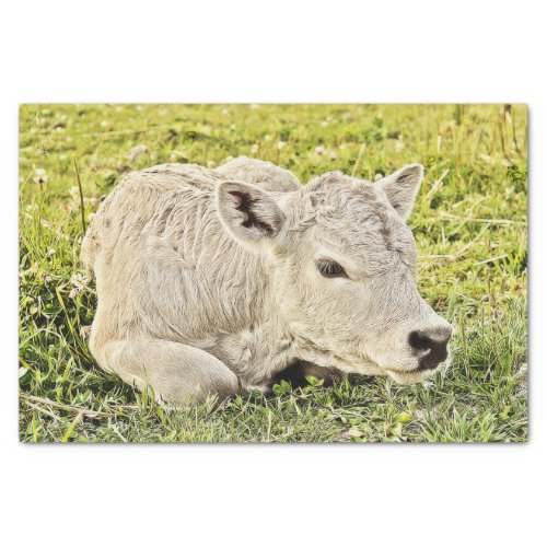 Cow Farm Rustic Country Decoupage Tissue Paper