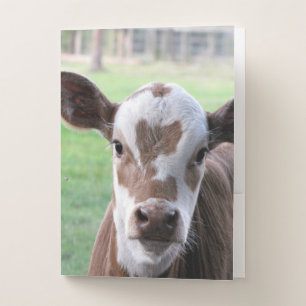Cow - Farm Series Pocket Folders