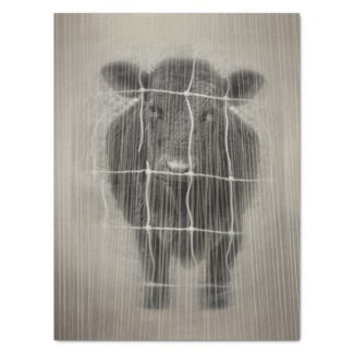 Cow Farm