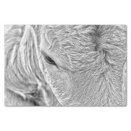 Cow Farm Vintage Black And White Country Rustic Tissue Paper