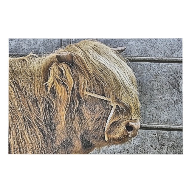 COW FAUX CANVAS PRINT (Front)