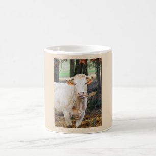 Cow feeding in France Coffee Mug