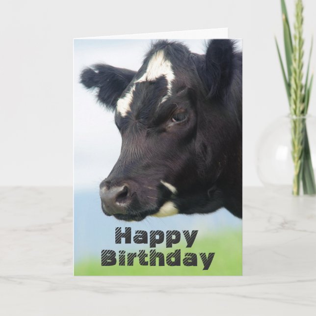Cow Happy Birthday card (Front)