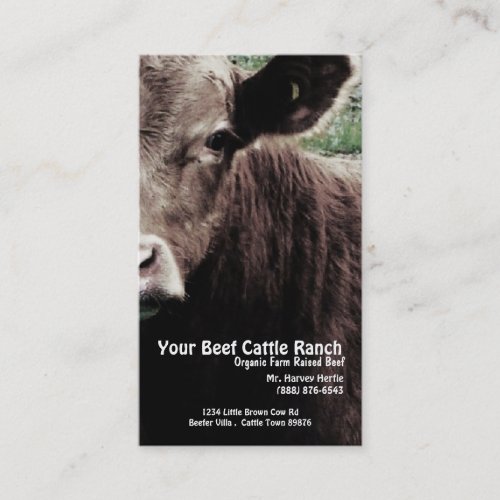 Cow Head  Beef Ranch Business Card Template