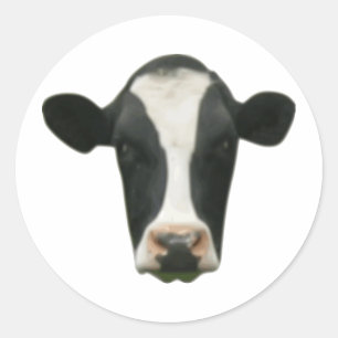 Cow Head Classic Round Sticker