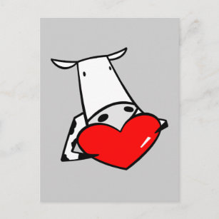 Cow Heart Valentine I Love Cows Holiday Postcard