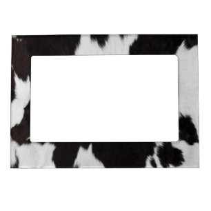 cow hide black white   magnetic frame