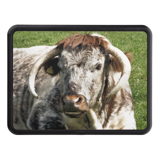 COW HITCH COVER (Front)