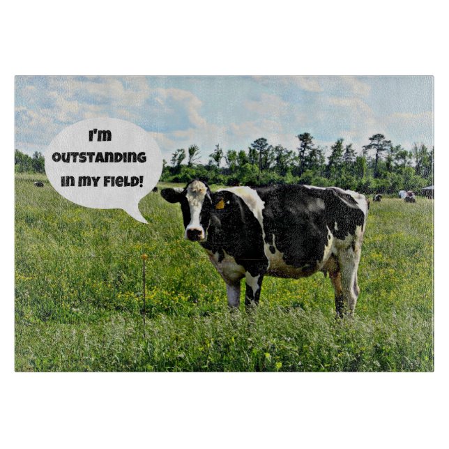 Cow Humor: "I'm outstanding in my field." Cutting Board (Front)