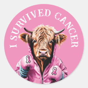 Cow I survived breast cancer theme Classic Round Sticker